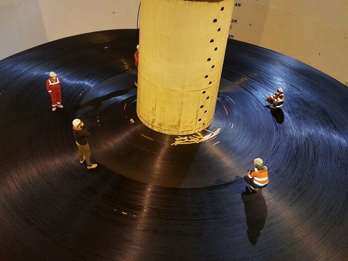 Tiny People, Big Vinyl Record