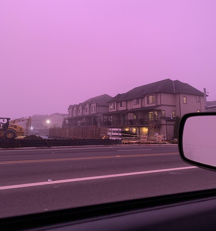 Drove Through Purple Fog. Yep, Really.