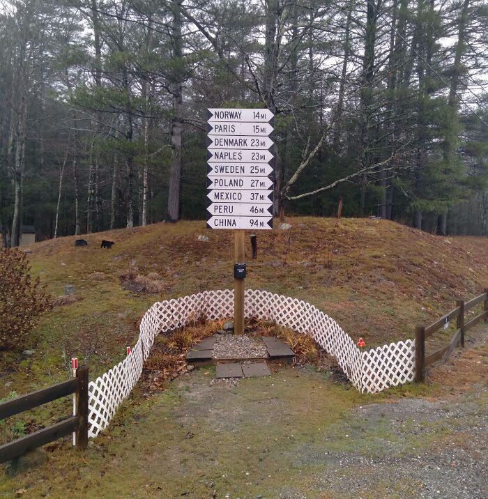 Welcome To Maine: Hot Dogs Named After Countries And Other Oddities