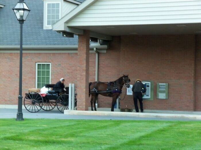 Pennsylvania Quirk: Amish Man Withdraws Cash, Horse Waits Like a Pro