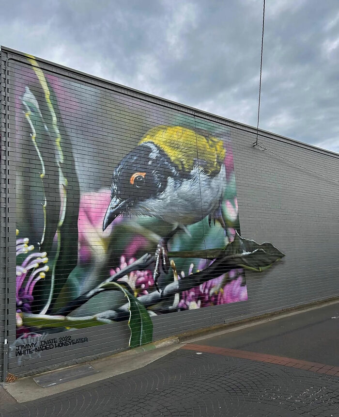 Wait, They Actually Made Walls This Cool? 50 Street Art Wonders That'll Blow Your Mind
