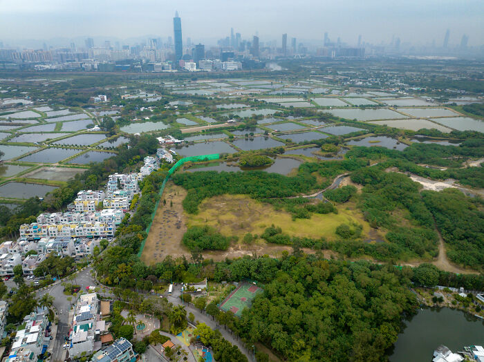 Wait, They Actually Counted Every Basketball Court in Hong Kong?! (Over 2,500!)
