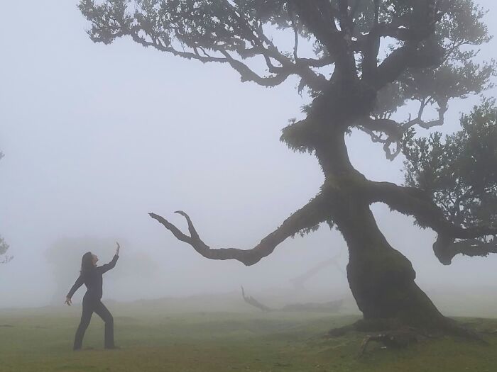 Sharing The Planet Finalist: Embrace – An Invitation by Katia Ostrowski