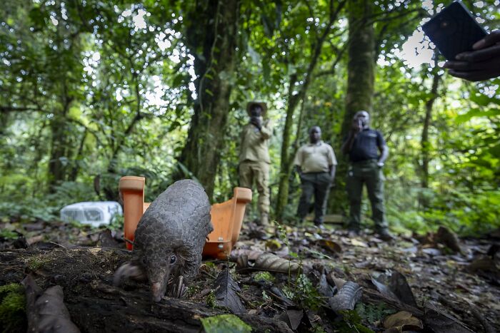 Sharing The Planet Finalist: A Pang Of Hope by Charlotte Keast