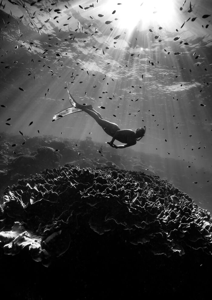 Sharing The Planet Finalist: Witness by Caitlin Grace