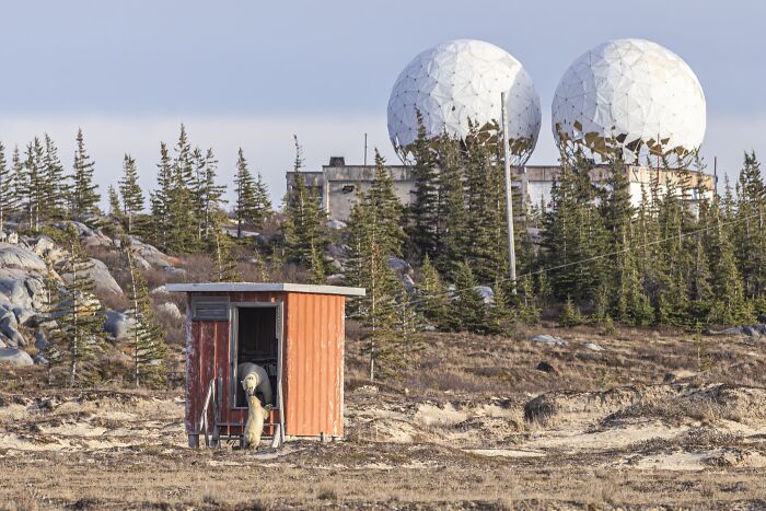 Environmental Impact Finalist: No Radar For Global Warming by Akshay Manwani