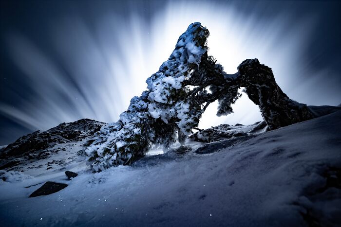 Plant Life Finalist: The Razor’s Edge by Miguel José Ávalos González