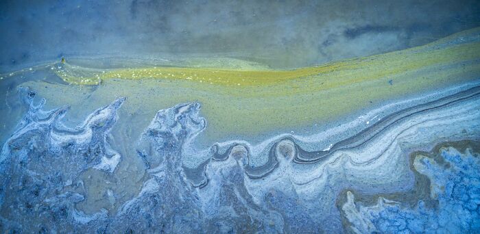 Natural Landscape Finalist: Nature's Painting - Art From Cyanobacteria by Brian Clopp