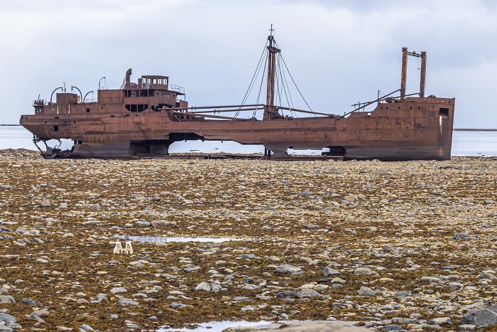 Environmental Impact Finalist: Clear And Present Danger by Akshay Manwani