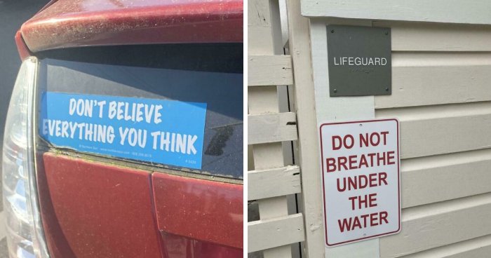 Wait, People Actually Got Life Tips From Weird Places?!