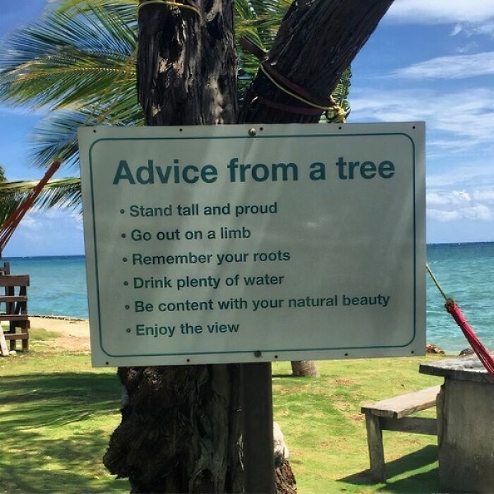 Wait, People Actually Got Life Tips From Weird Places?!
