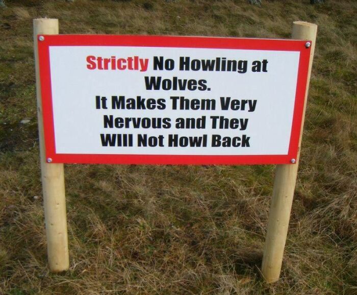 Wait, People Actually Got Life Tips From Weird Places?!