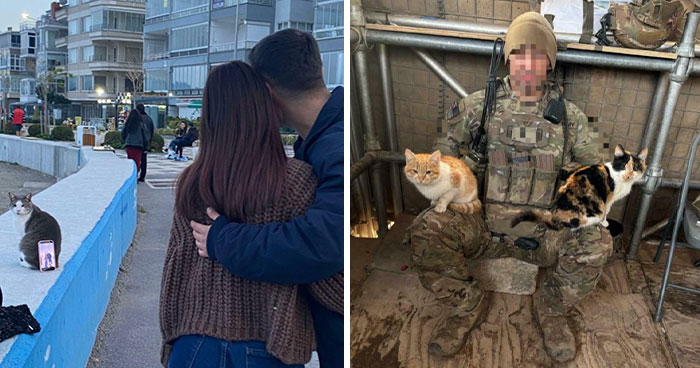 These Cats Have Jobs and Take Them WAY Too Seriously (83 Pics of Feline Bosses)