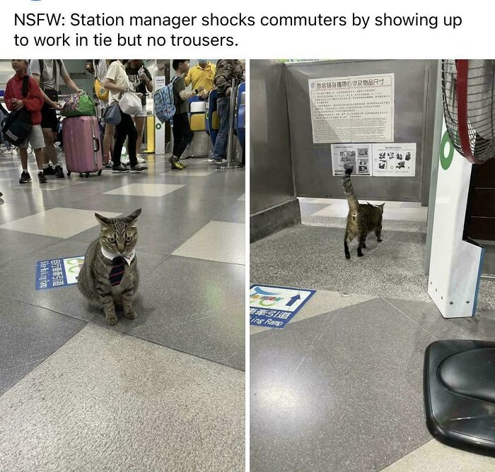 Station Manager Who Runs the Show