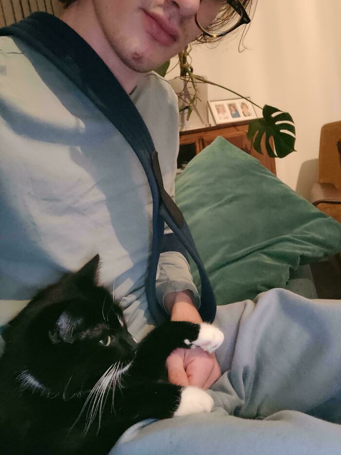 Got a Broken Elbow? No Problem! Here’s Your Doctor Cat