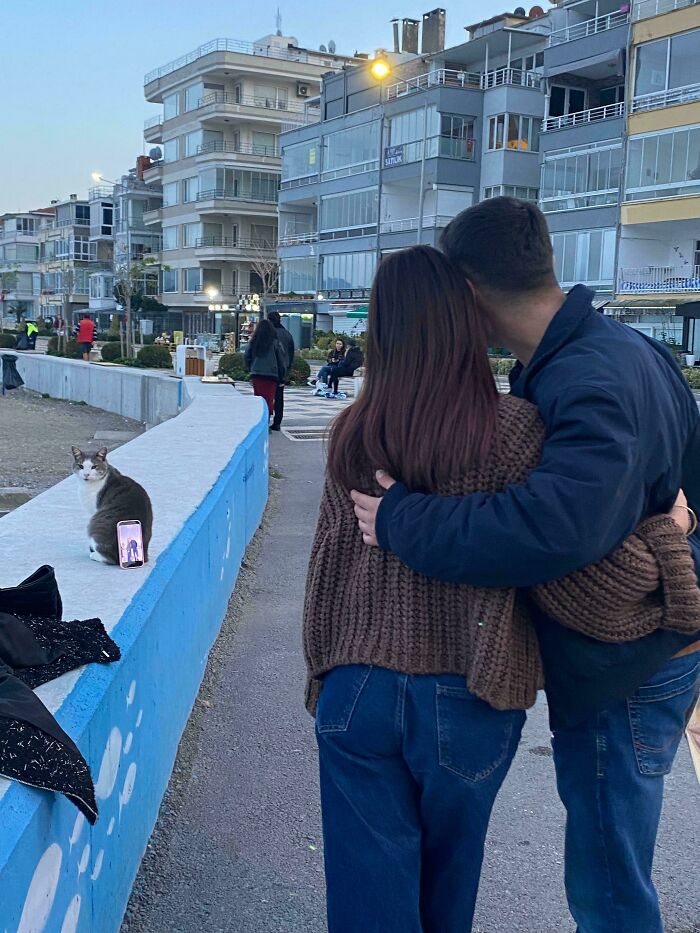 Not Cameraman, It’s Catmeraman