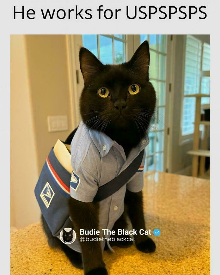 USPS Hiring a New Kind of Postal Worker, and It’s Furry!