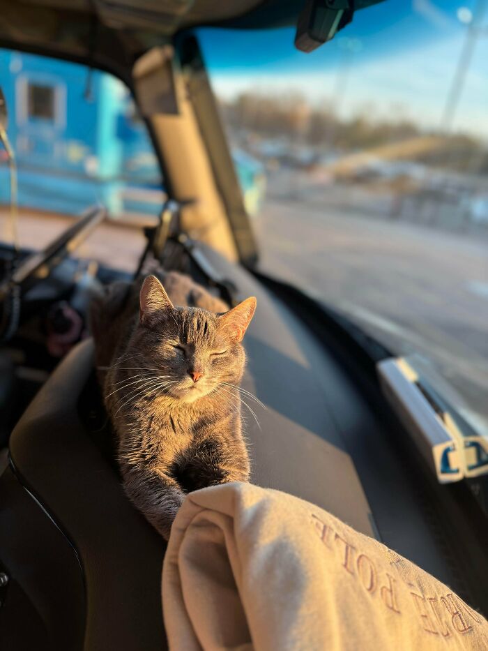 Lola the Truck Driver, Age 11 and Still Going Strong
