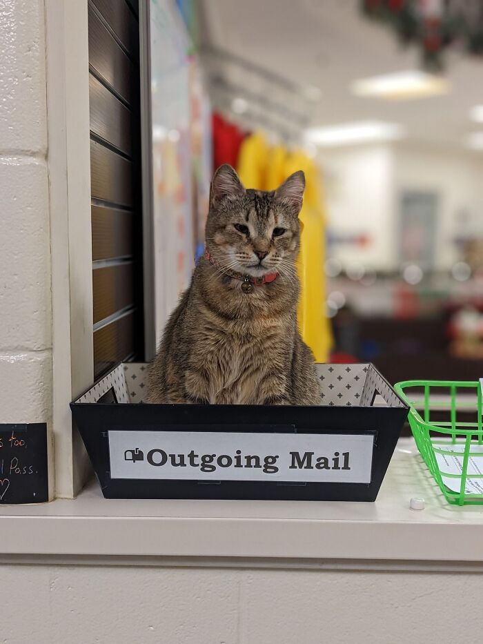 Meet Regina, The Receptionist with Attitude