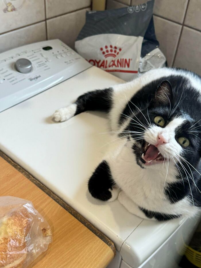 Today She Did Laundry and Even Paid the Bills (Maybe)