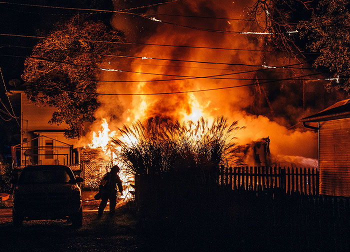 Wait, They Actually Ranked These Weird True Facts?!