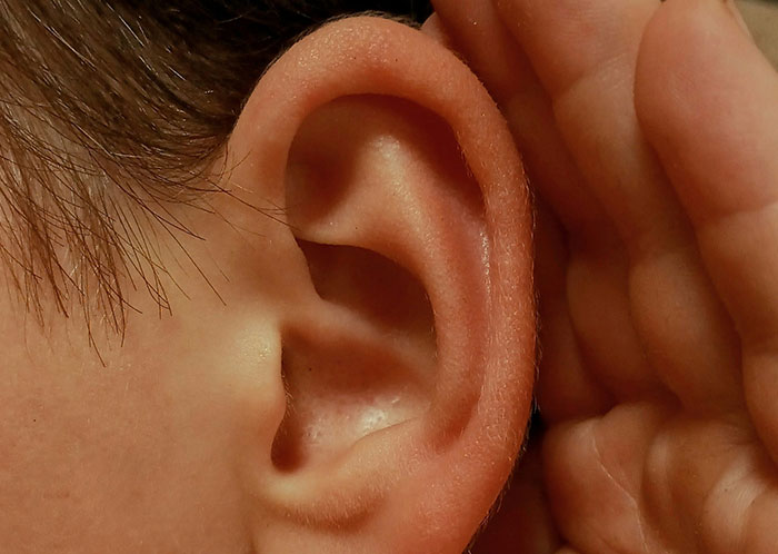 Wait, They Actually Ranked These Weird True Facts?!