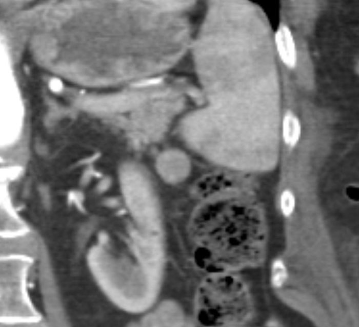 Wait, They Actually Ranked These Weird True Facts?!