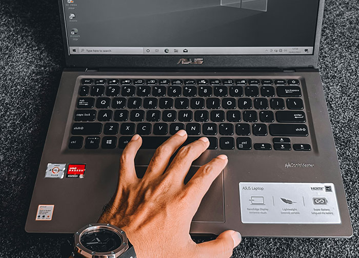 Wait, They Actually Ranked These Weird True Facts?!