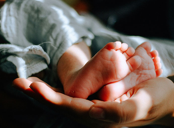 Wait, They Actually Ranked These Weird True Facts?!