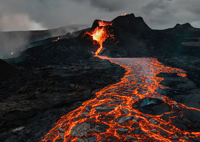 Wait, They Actually Ranked These Weird True Facts?!