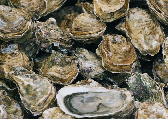 Wait, They Actually Ranked These Weird True Facts?!