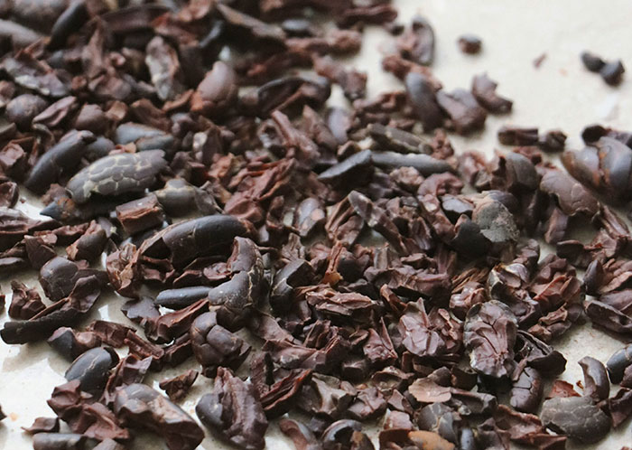 Wait, They Actually Ranked These Weird True Facts?!