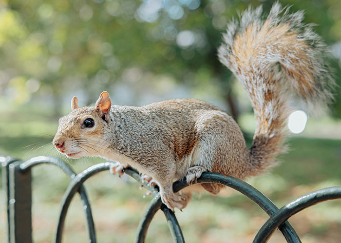 Wait, They Actually Ranked These Weird True Facts?!