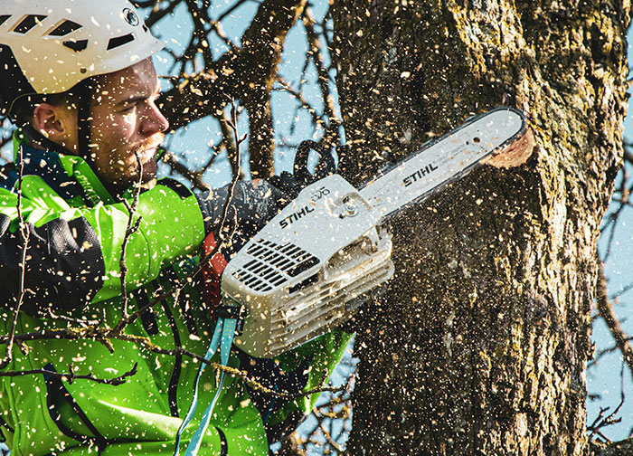 Wait, They Actually Ranked These Weird True Facts?!