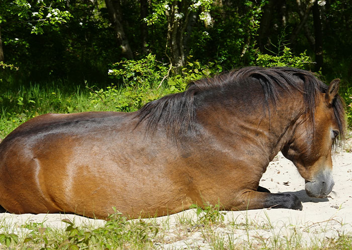 Wait, They Actually Ranked These Weird True Facts?!