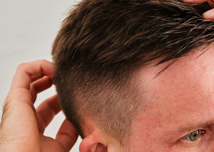 Wait, They Actually Ranked These Weird True Facts?!