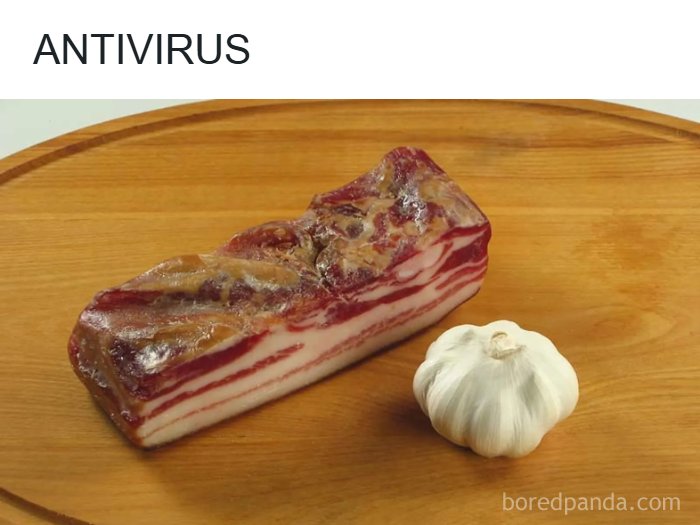 Wait, They Actually Memed Eastern Europe? Yep, And It's Hilarious!