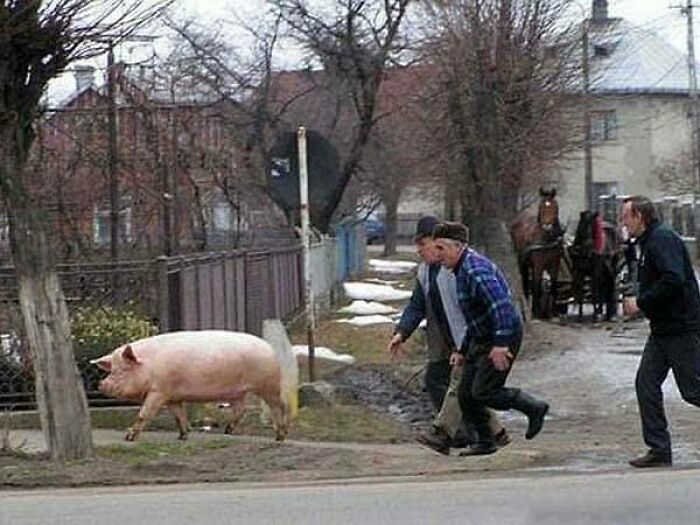 Wait, They Actually Memed Eastern Europe? Yep, And It's Hilarious!