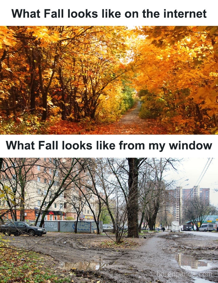 Wait, They Actually Memed Eastern Europe? Yep, And It's Hilarious!