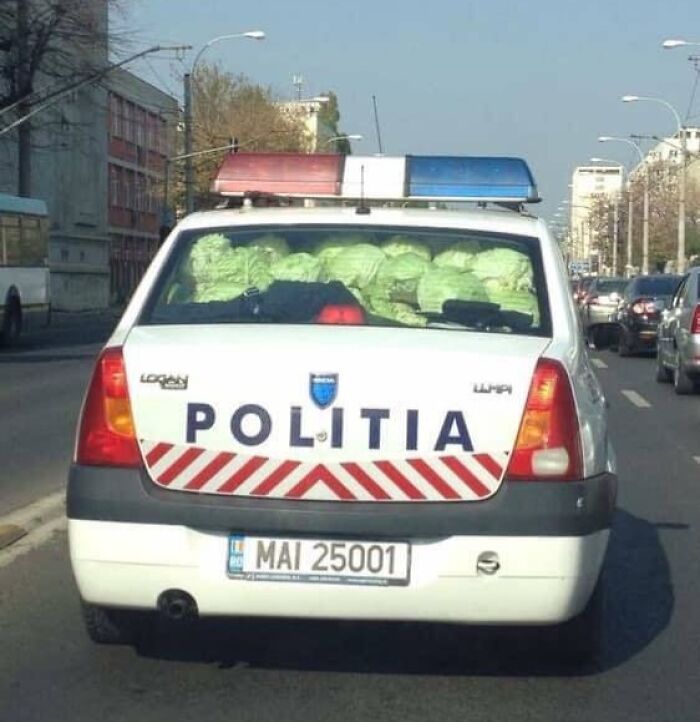 Wait, They Actually Memed Eastern Europe? Yep, And It's Hilarious!