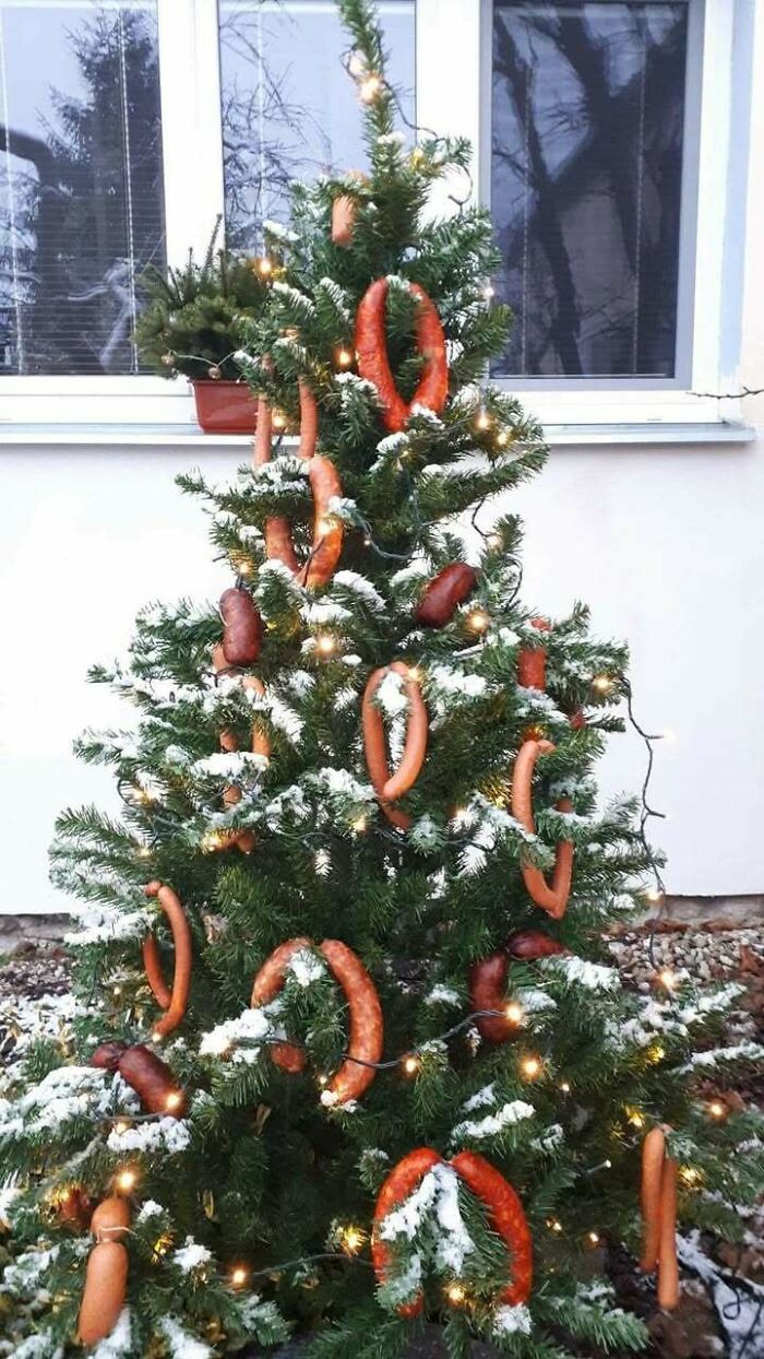 Wait, They Actually Memed Eastern Europe? Yep, And It's Hilarious!