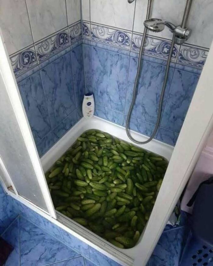 Wait, They Actually Memed Eastern Europe? Yep, And It's Hilarious!