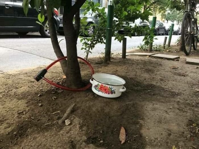 Wait, They Actually Memed Eastern Europe? Yep, And It's Hilarious!