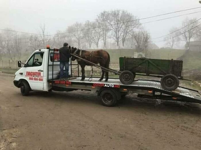 Wait, They Actually Memed Eastern Europe? Yep, And It's Hilarious!