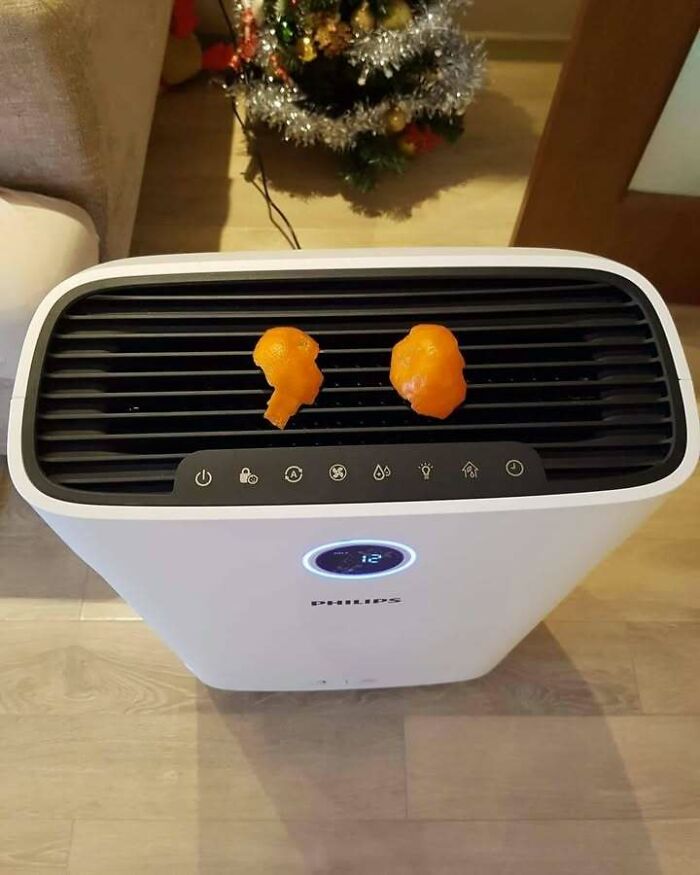 Wait, They Actually Memed Eastern Europe? Yep, And It's Hilarious!