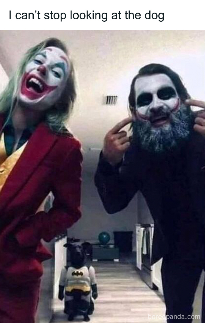 Wait, They Actually Ranked These Hilarious Dog Memes?