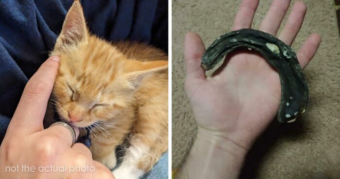 Wait, They REALLY Found That At The Bottom Of An Elevator Shaft?