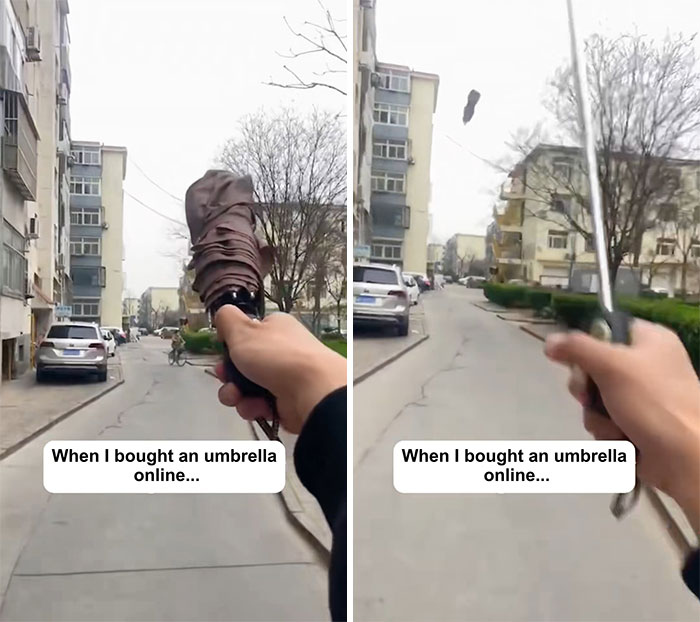 Wait, They Actually Bought This From Temu? The Funniest Online Shopping Oops!