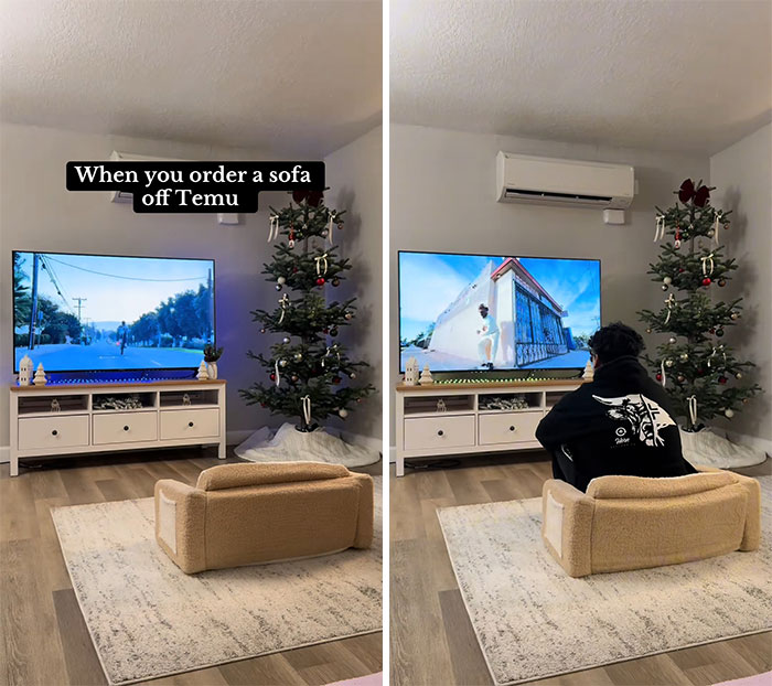 Wait, They Actually Bought This From Temu? The Funniest Online Shopping Oops!