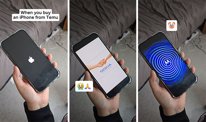 Wait, They Actually Bought This From Temu? The Funniest Online Shopping Oops!